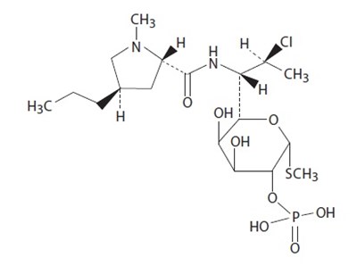 Clindamycin Phosphate Chemical Structure (Clindamycin Phosphate Chemical Structure)